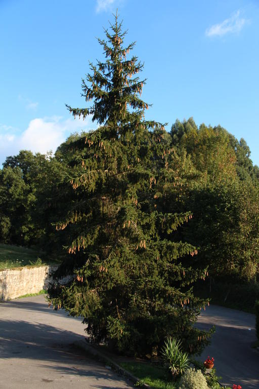 Posada Calera Valle De Villaverde Zewnętrze zdjęcie